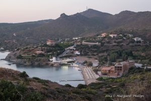 IMG_0454